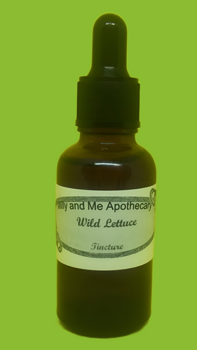 Wild Lettuce Tincture